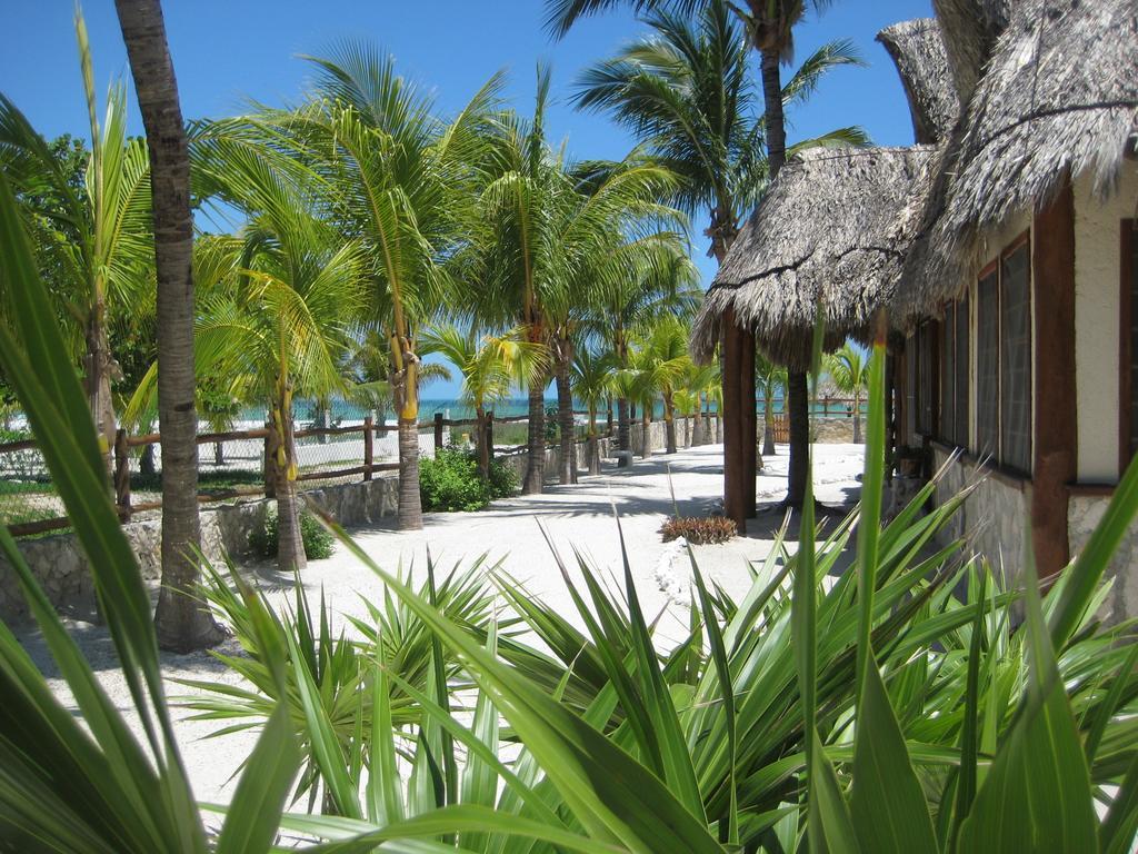 Beach Guesthouse Holbox Apartments & Suites Luaran gambar